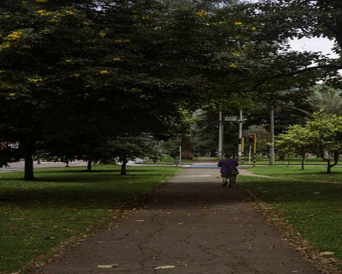 A serene person enjoying a quiet walk through a neighborhood park in Colombia